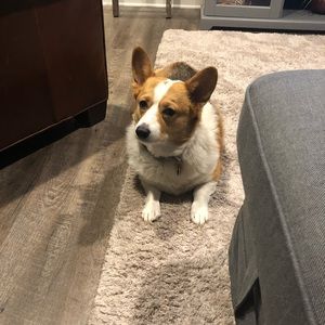 Meet your Posher, Greg